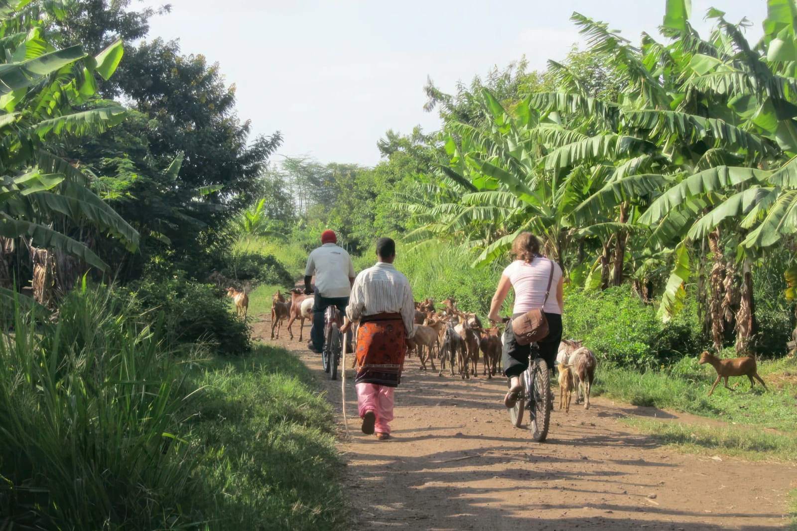 Community Visit Nearby