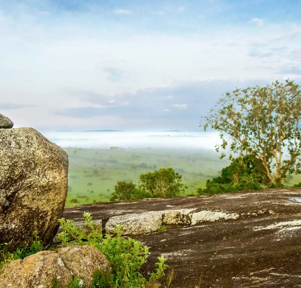 Stunning Savanna Landscapes 