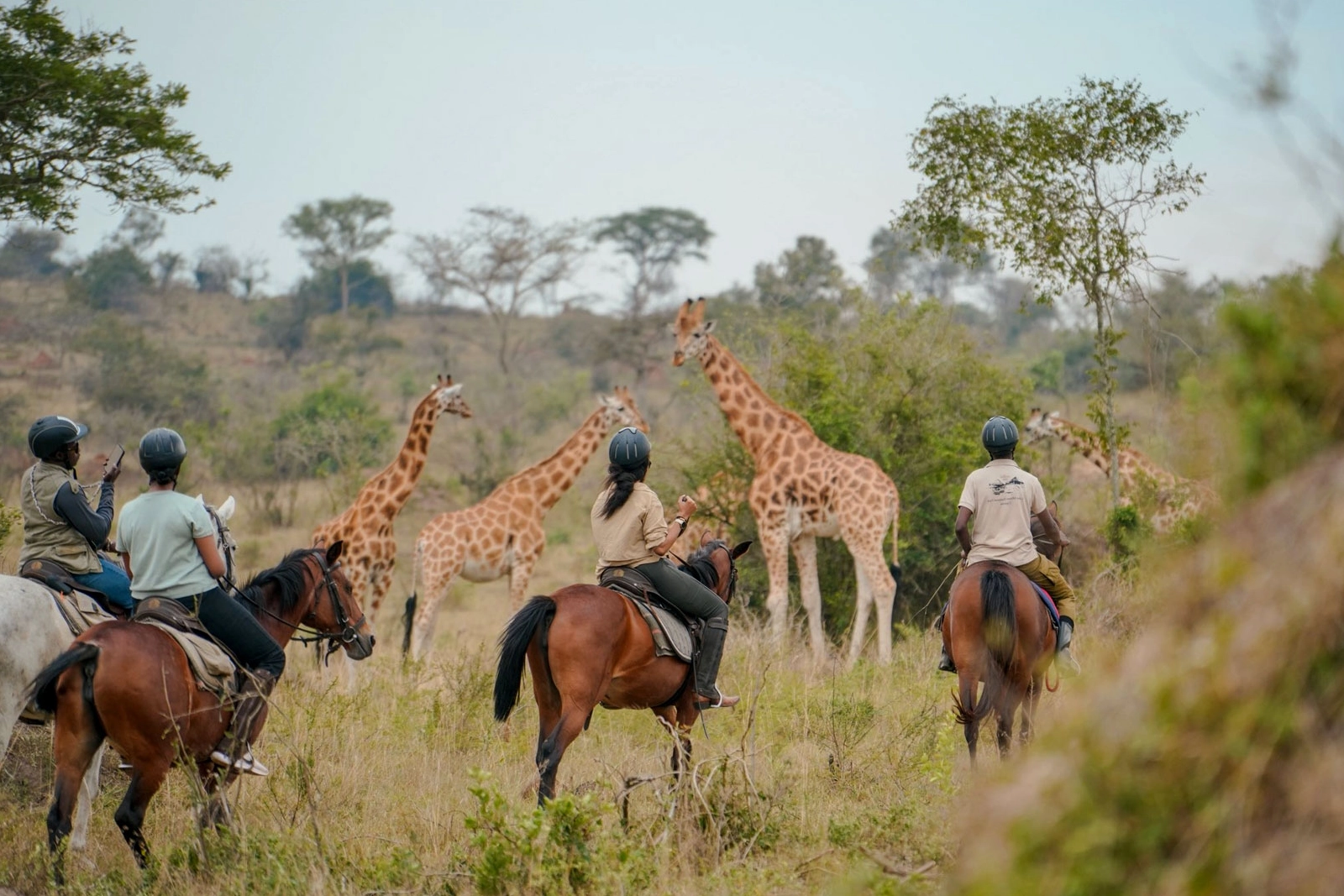 Horseback Safari Adventures