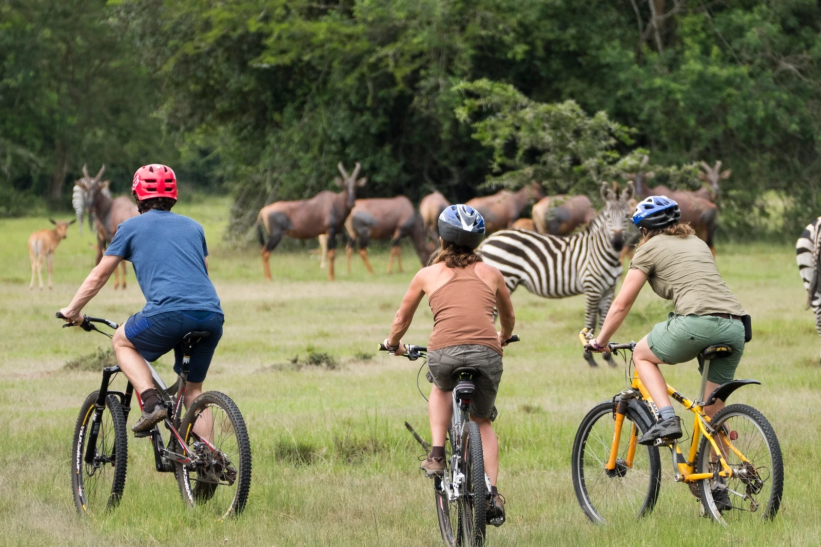 Cycling Safari Tours