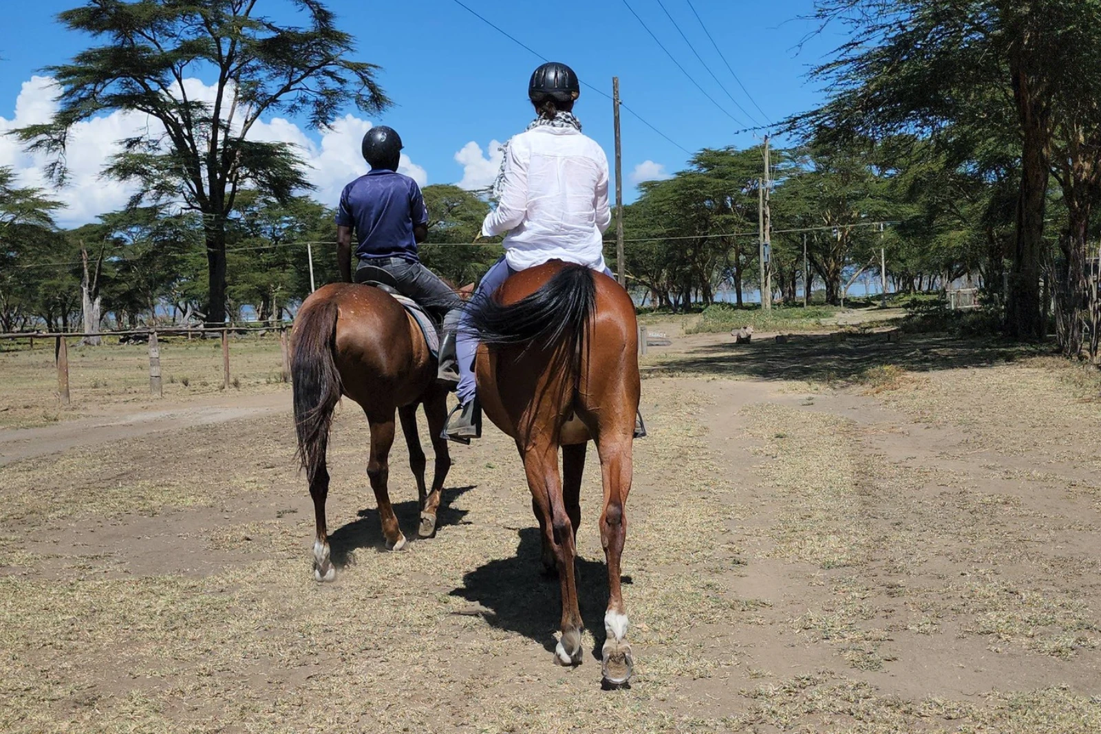 Horseback Safari Time