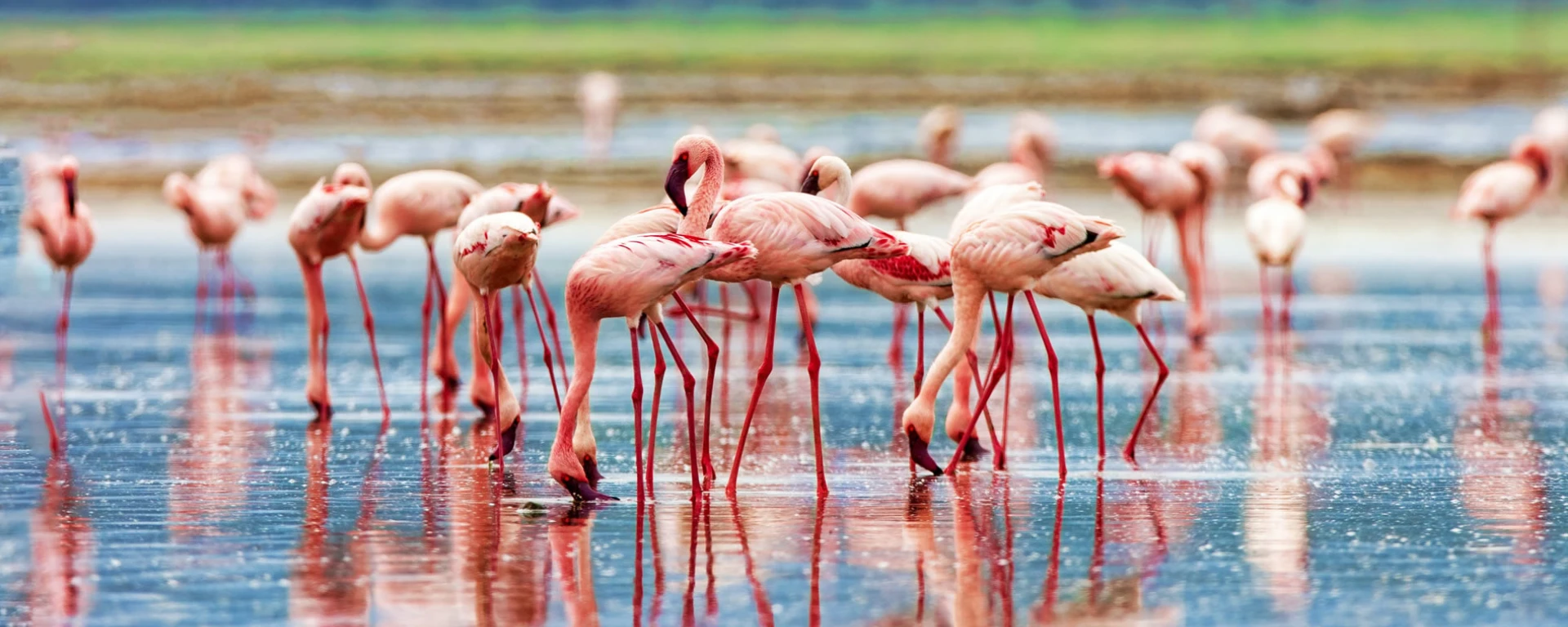 Lake Nakuru National Park