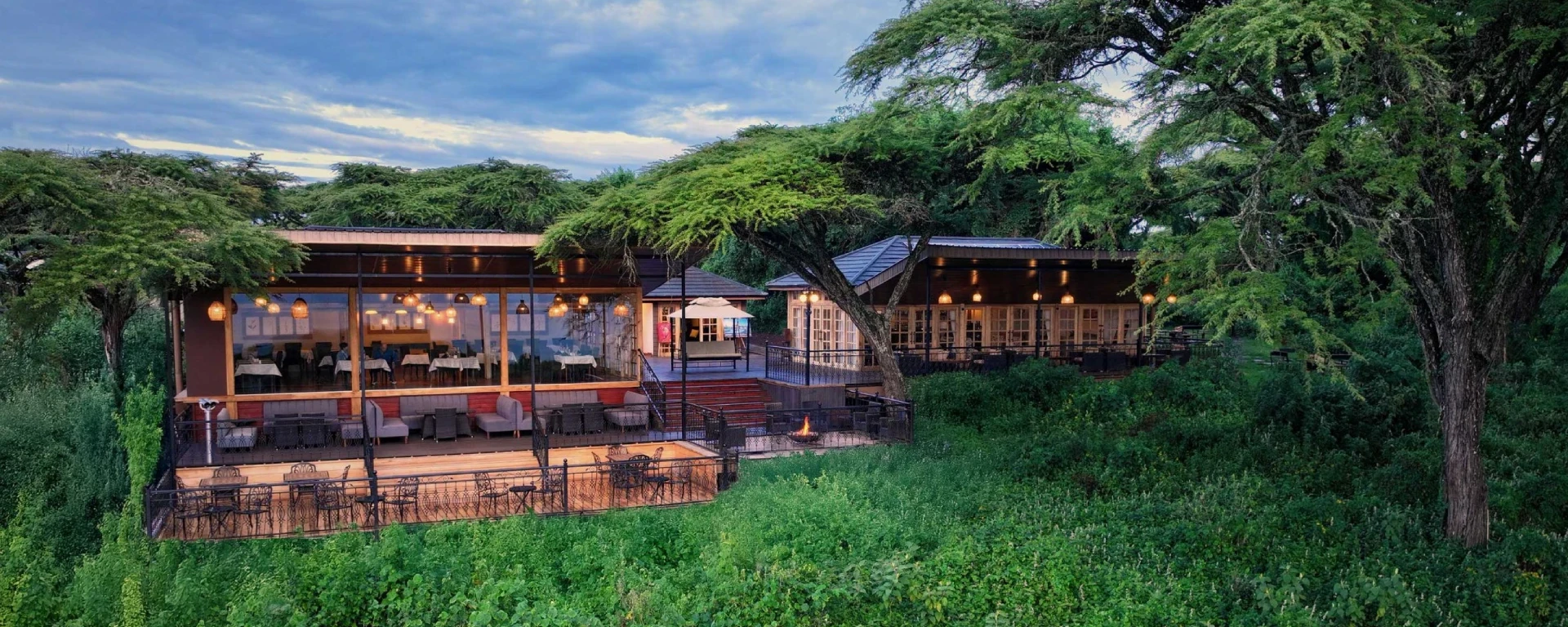 Lion’s Paw Ngorongoro