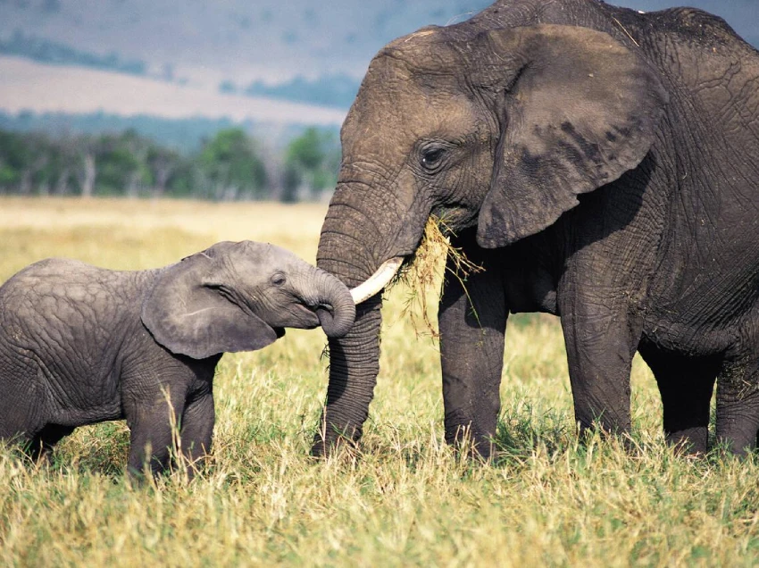 Masai Mara Attractions