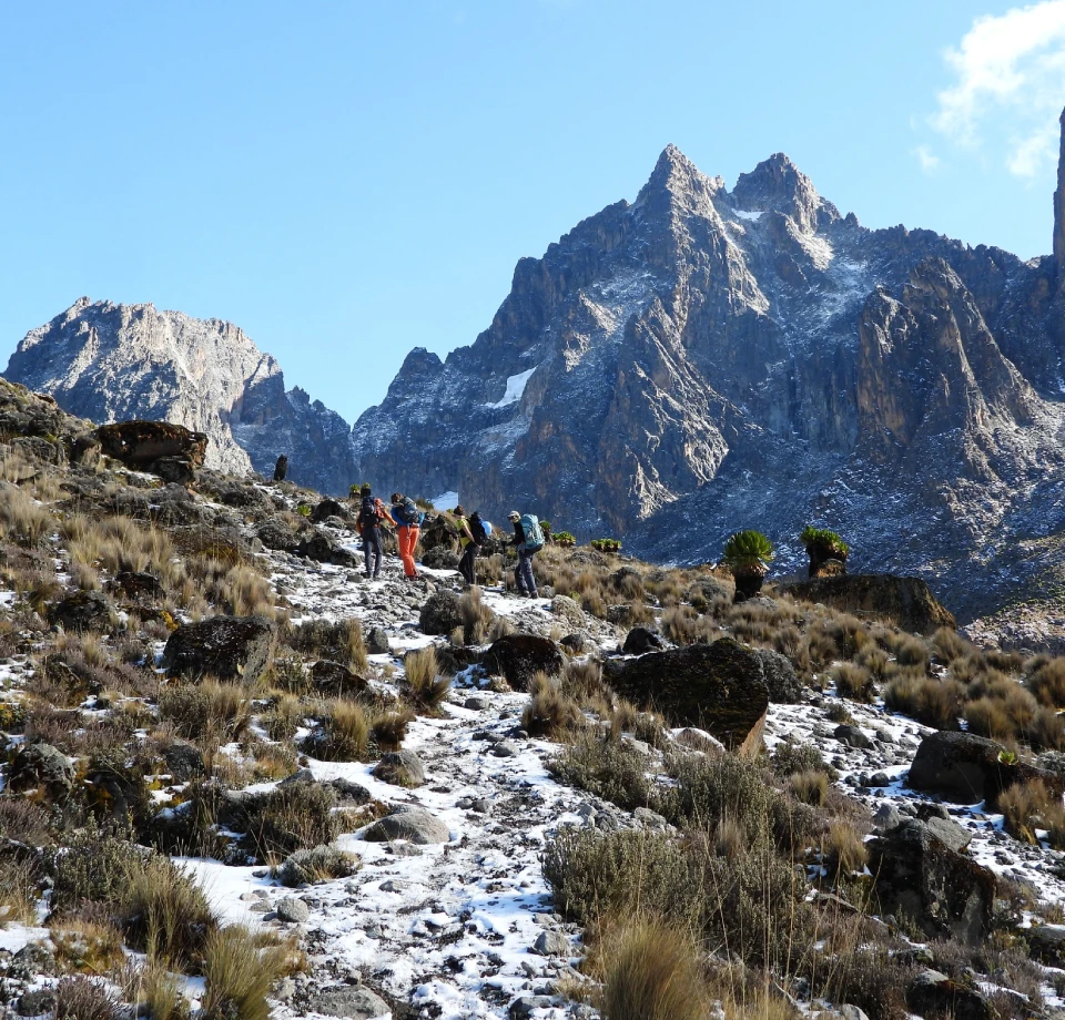 Alpine Mountain Landscapes