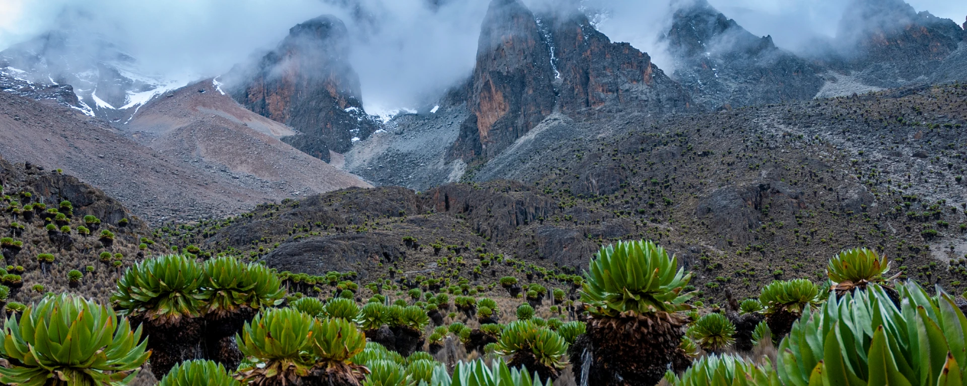 Mount Kenya National Park