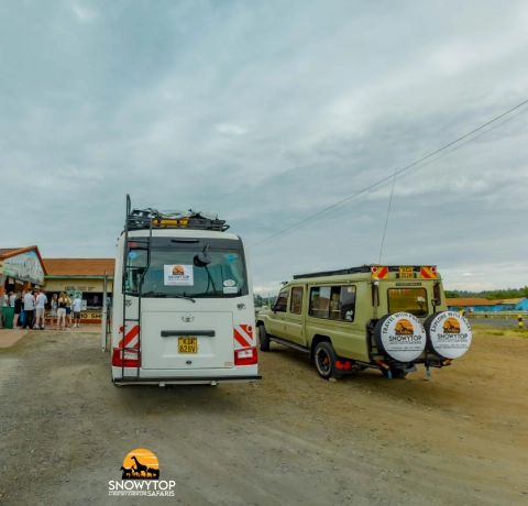 Multi-Country Safaris