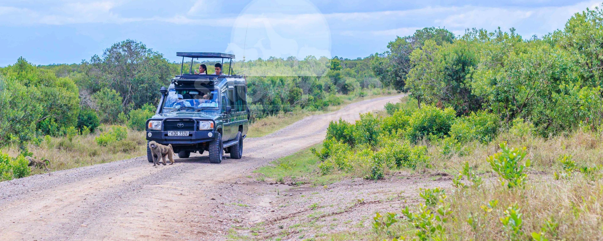 Multi-Country Safari