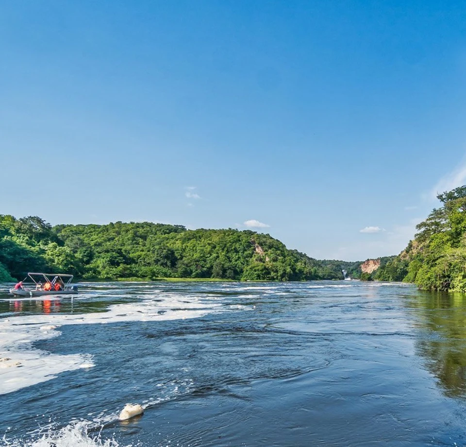 River Splits The Park 
