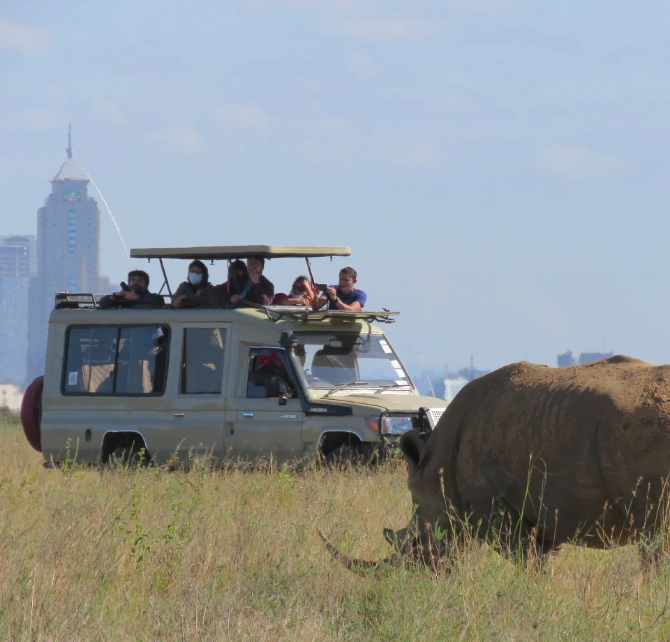 Accessible Urban Safaris