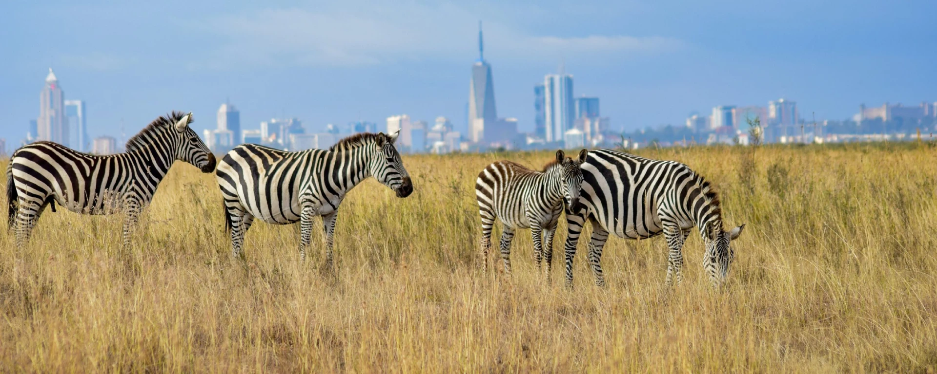 Nairobi National Park
