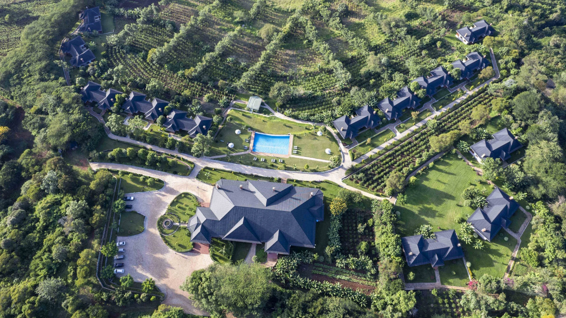 Ngorongoro Coffee Lodge