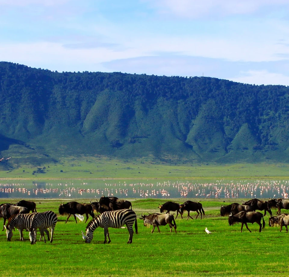 Contained Natural Drama