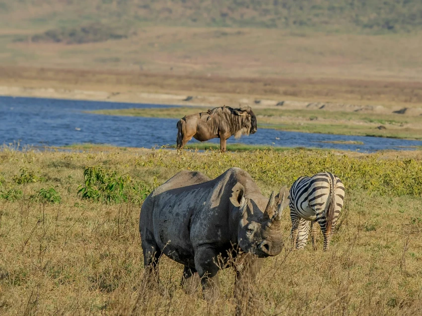 Ngorongoro Crater Attractions