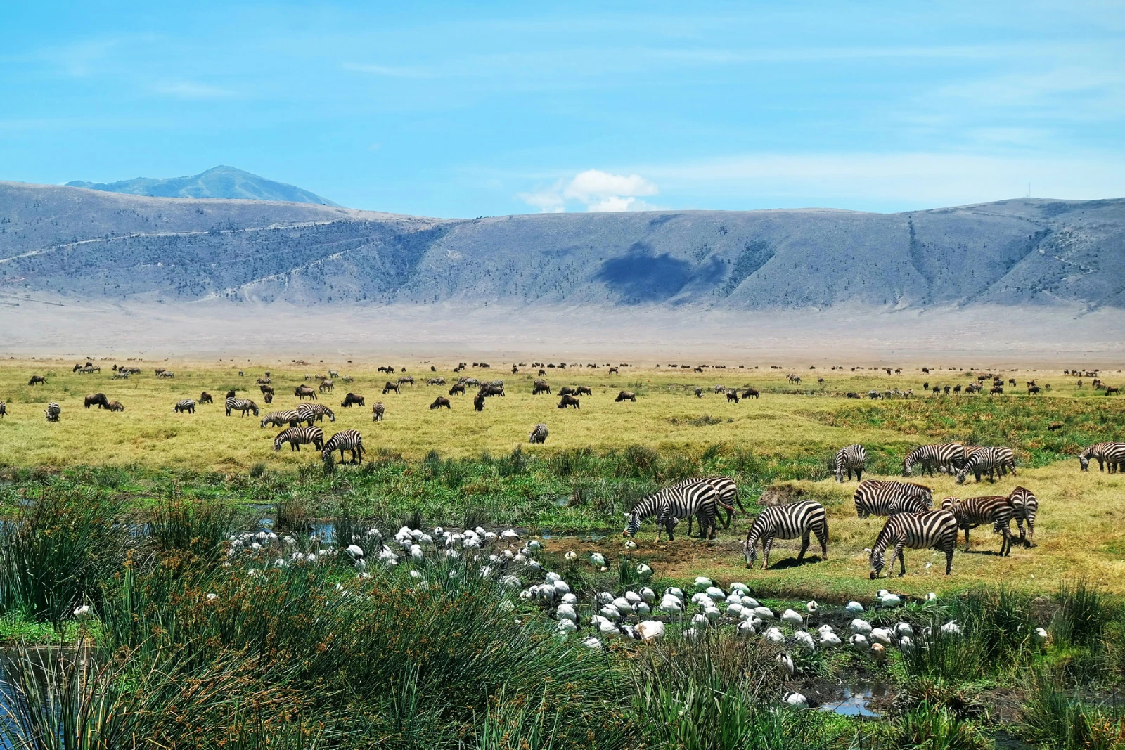 Early Crater Descent
