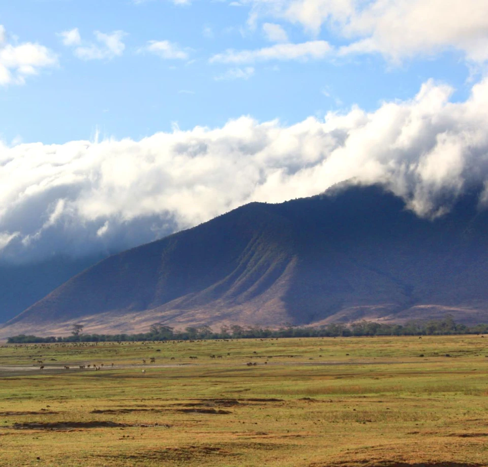 Changing Daily Conditions