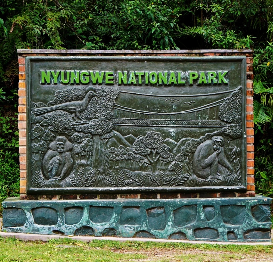 Height trail thrills