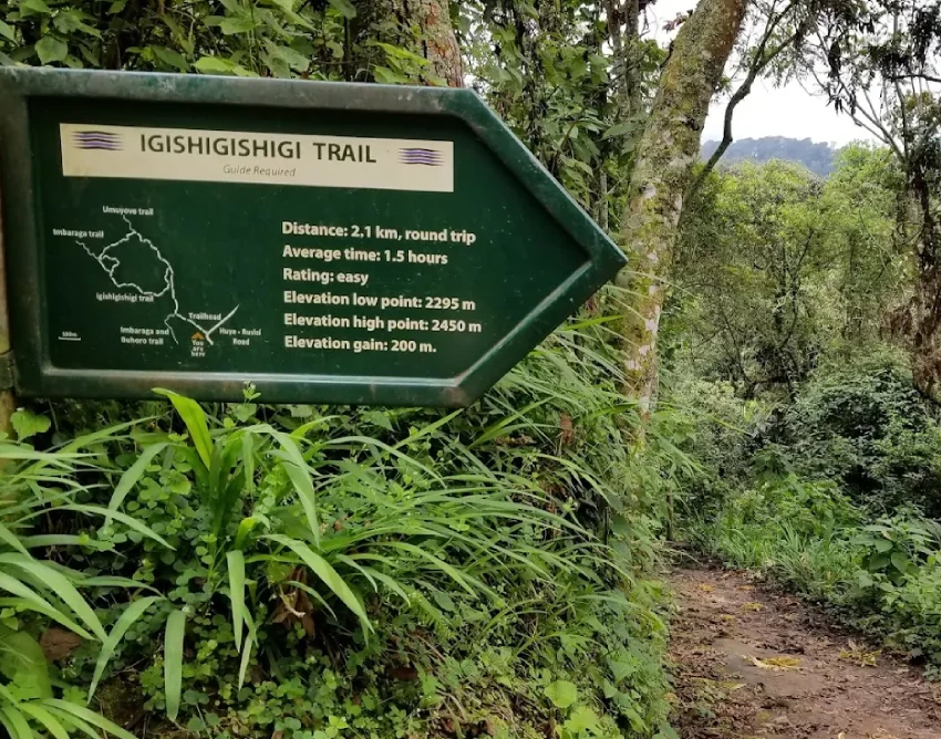 Nyungwe Forest National Park Attractions