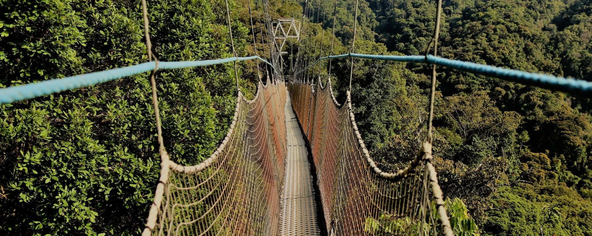 Nyungwe Forest National Park