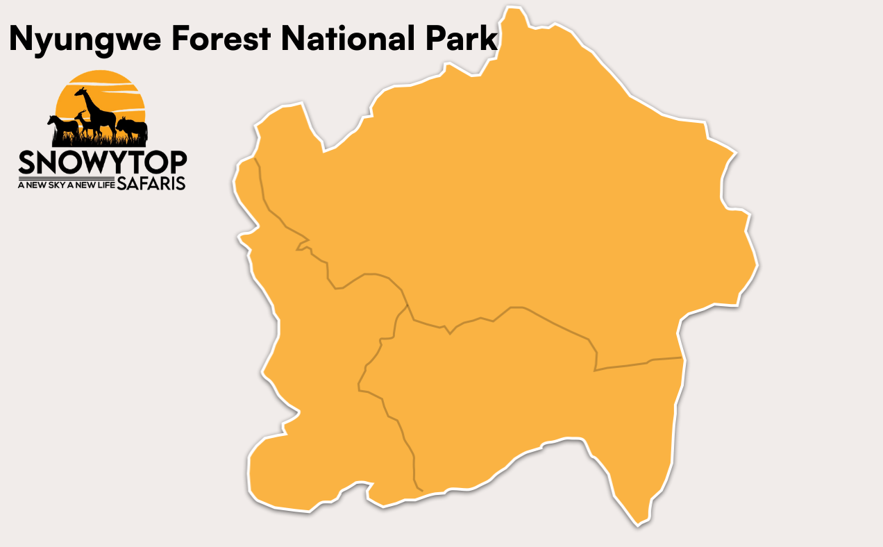 Nyungwe Forest National Park
