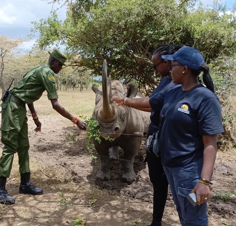 Rhino Camp Sanctuaries