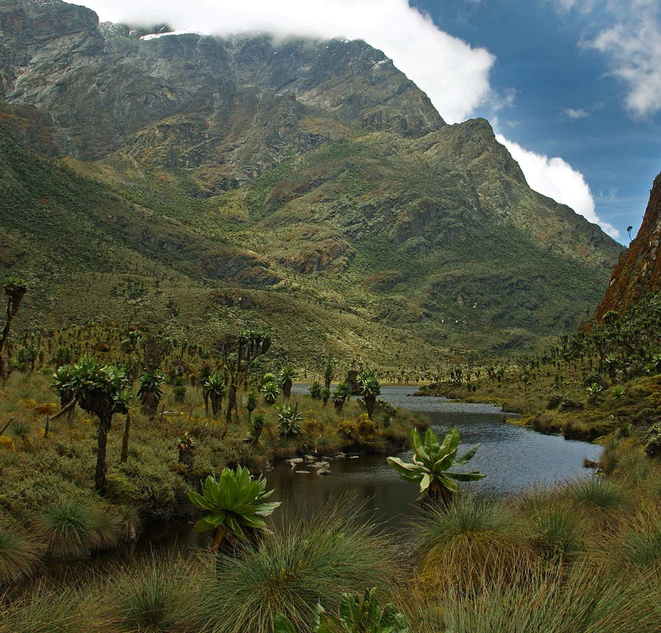 Equator, Peaks & Plains 
