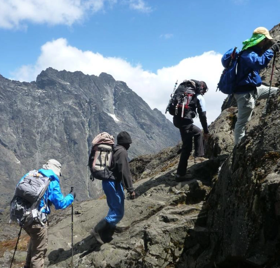 Stunning Alpine Mountain Views 