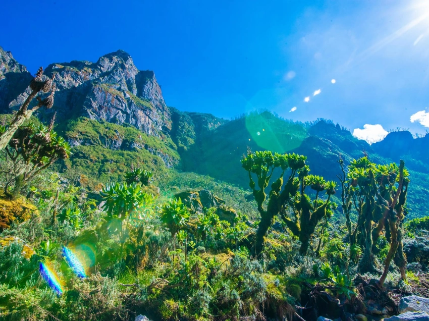 Rwenzori Mountains Attractions