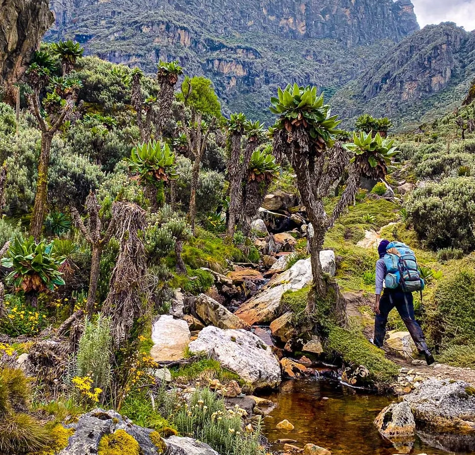 Easy Uganda Access Routes