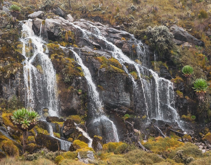 Rwenzori Mountains Waterfall