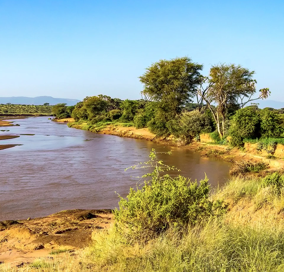 River Focused Viewing