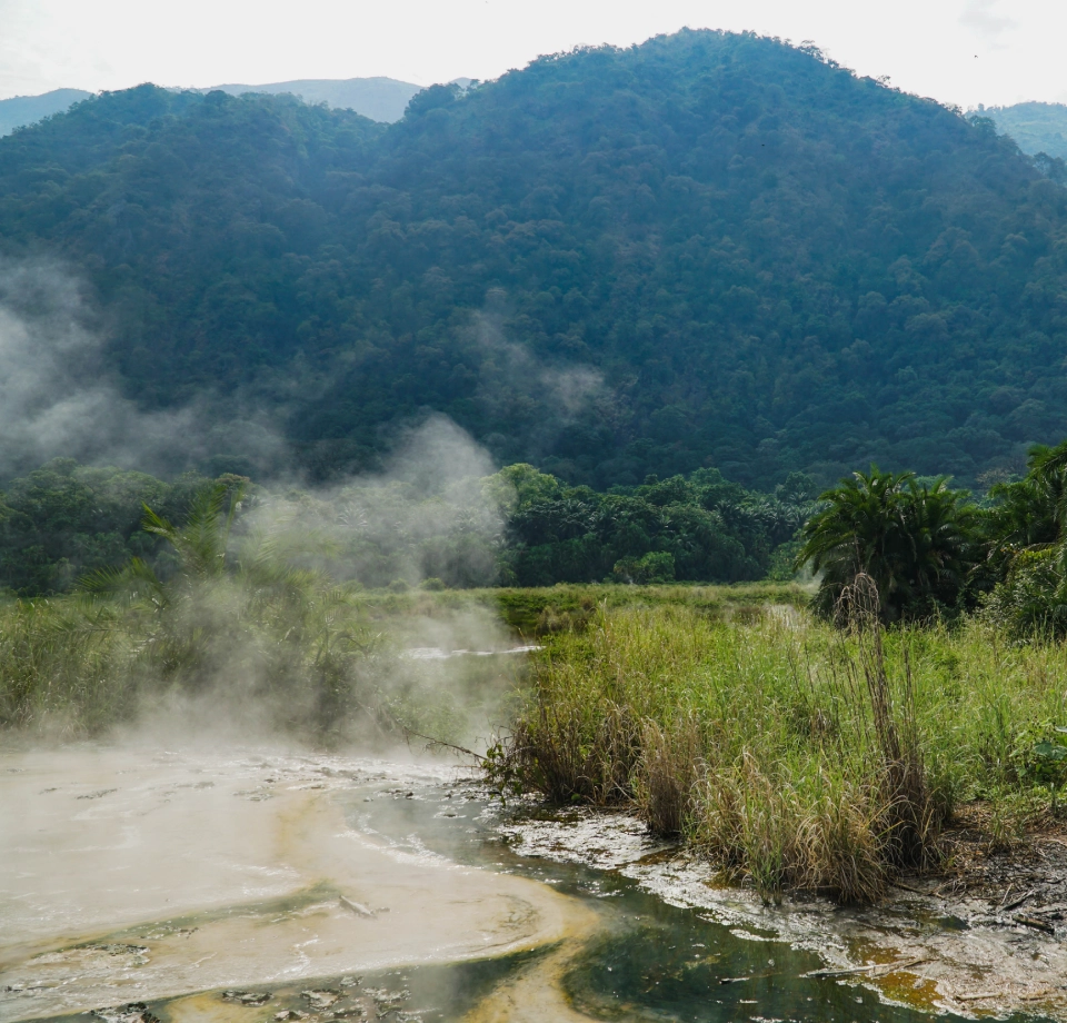 Breathtaking Rainforest and Rivers 