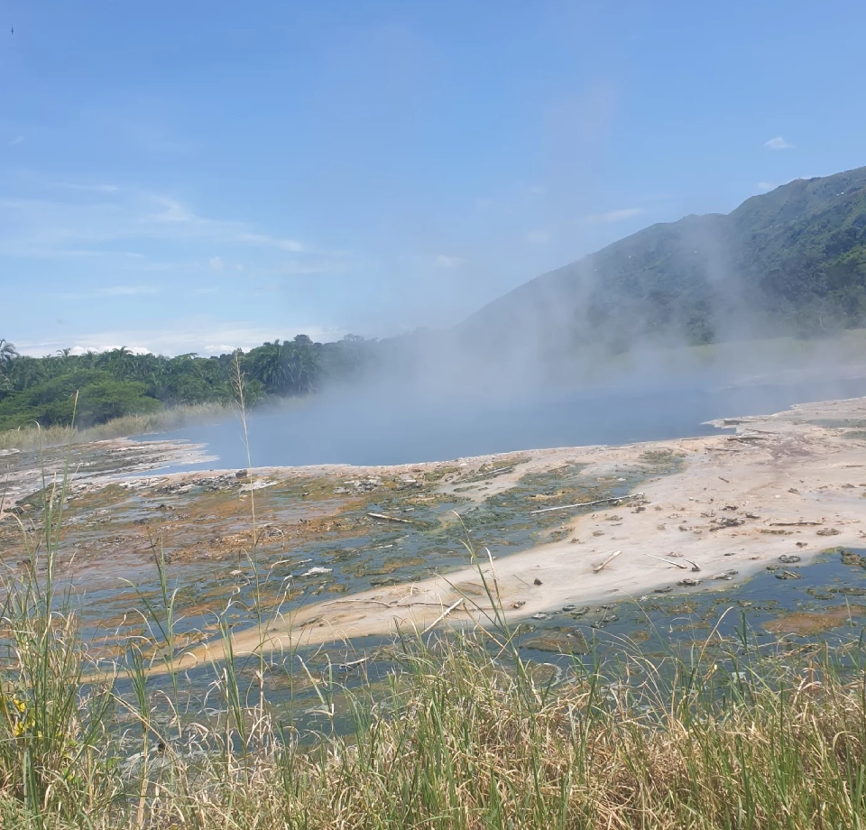 Tropical Evergreen Rainforest Climate