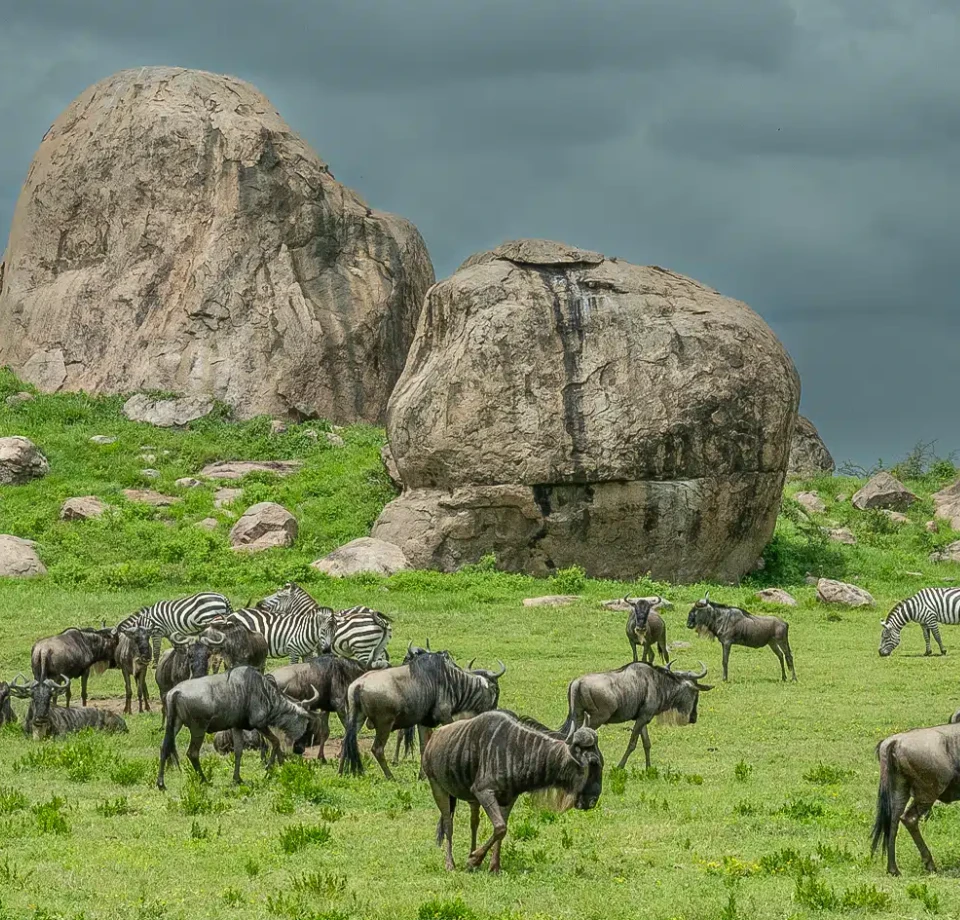 Wide Open Landscapes