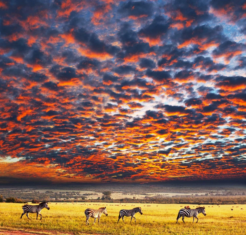 Seasonal Comfort Changes