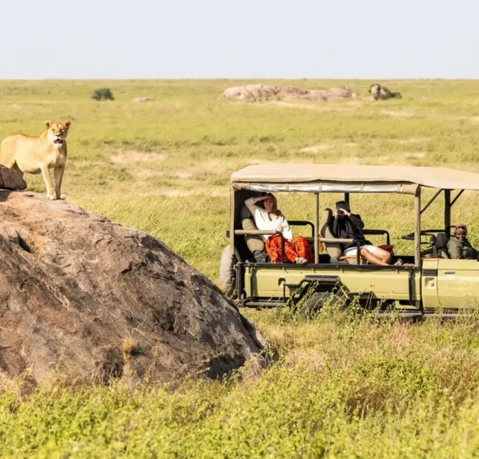 Flexible Travel Options