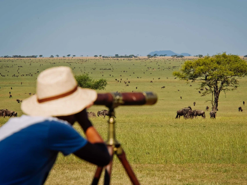 Serengeti National Park Attraction