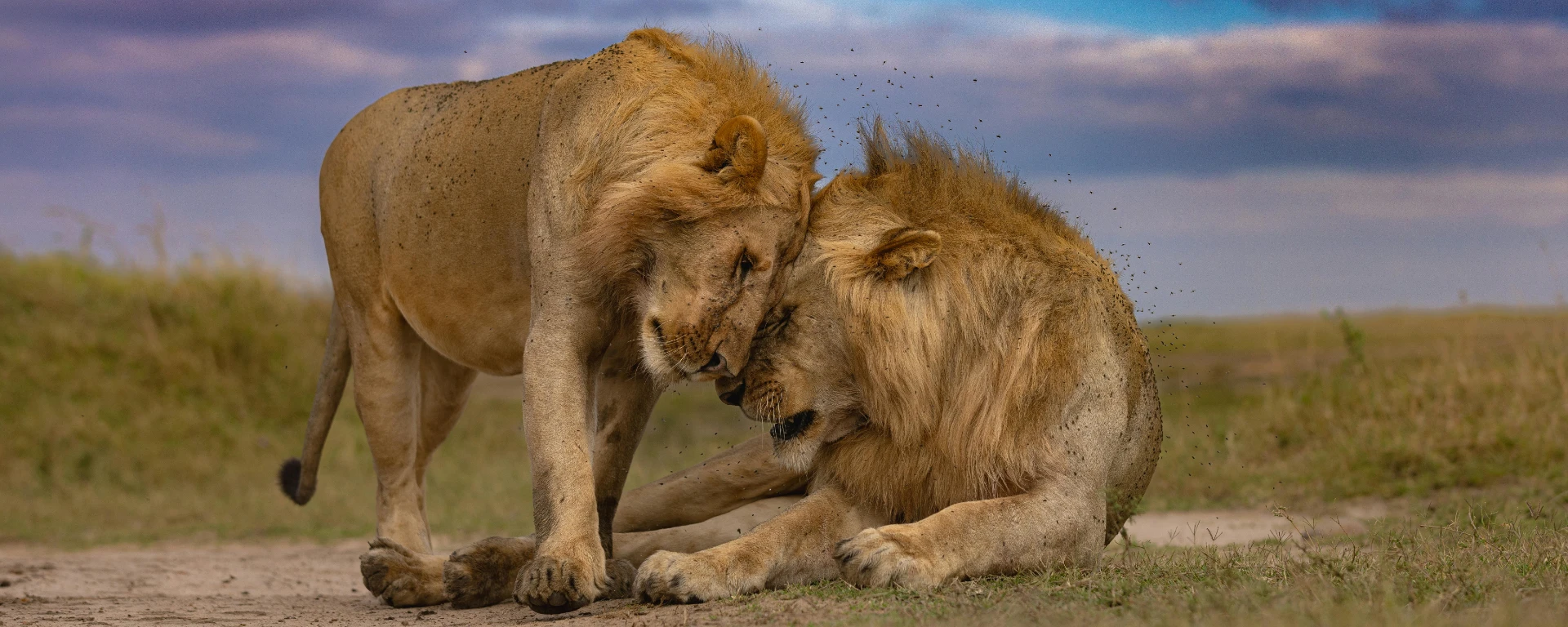 Serengeti National Park