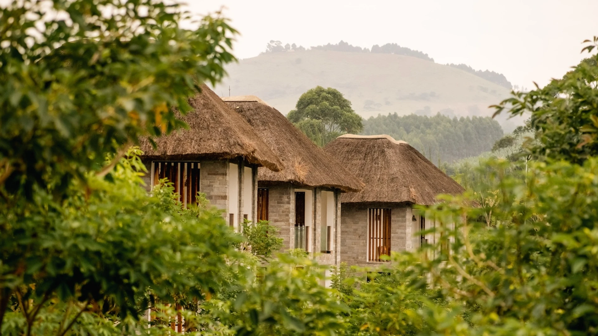Tabebuia Spa & Safari Resort
