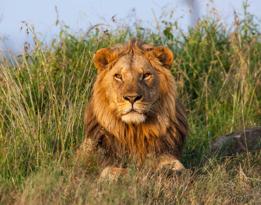 Tanzania Destination Attractions