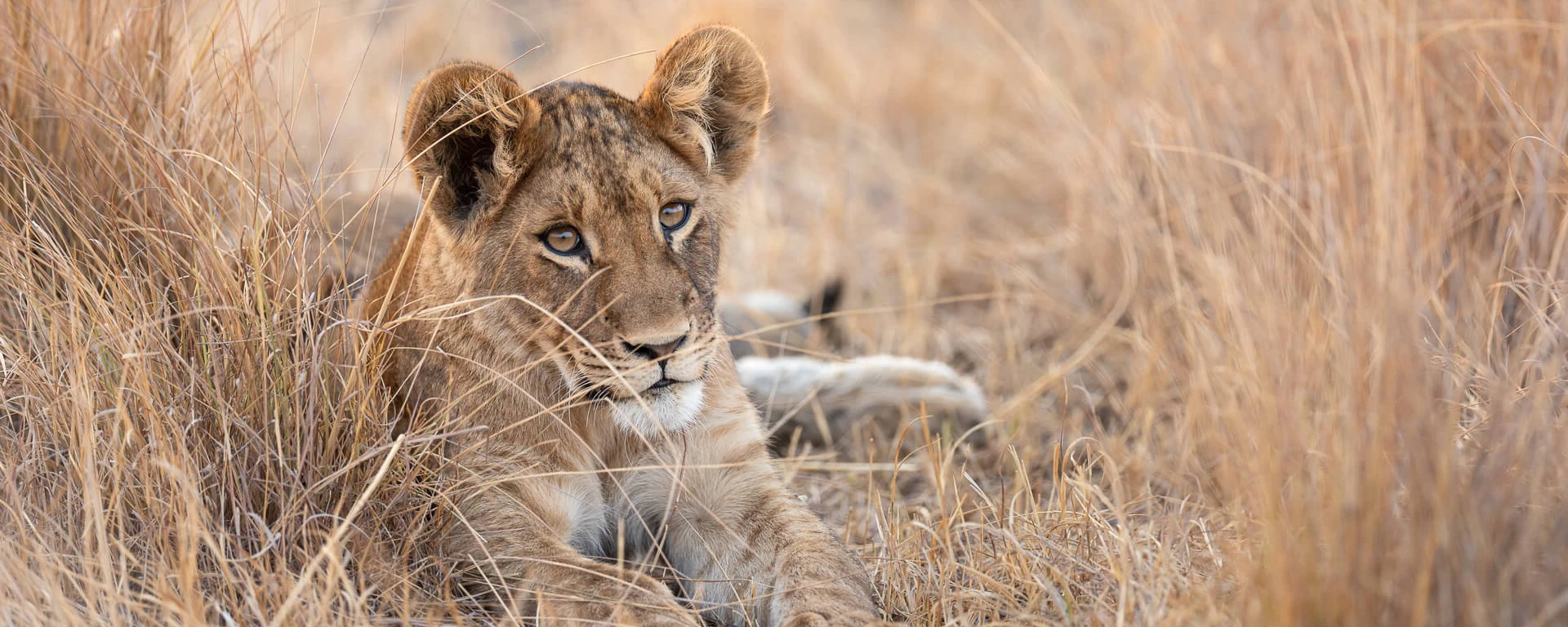 Tanzania Destinations