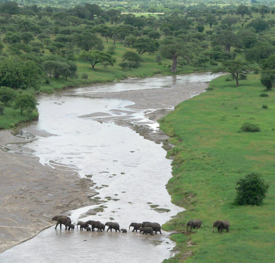 Savannah River Systems