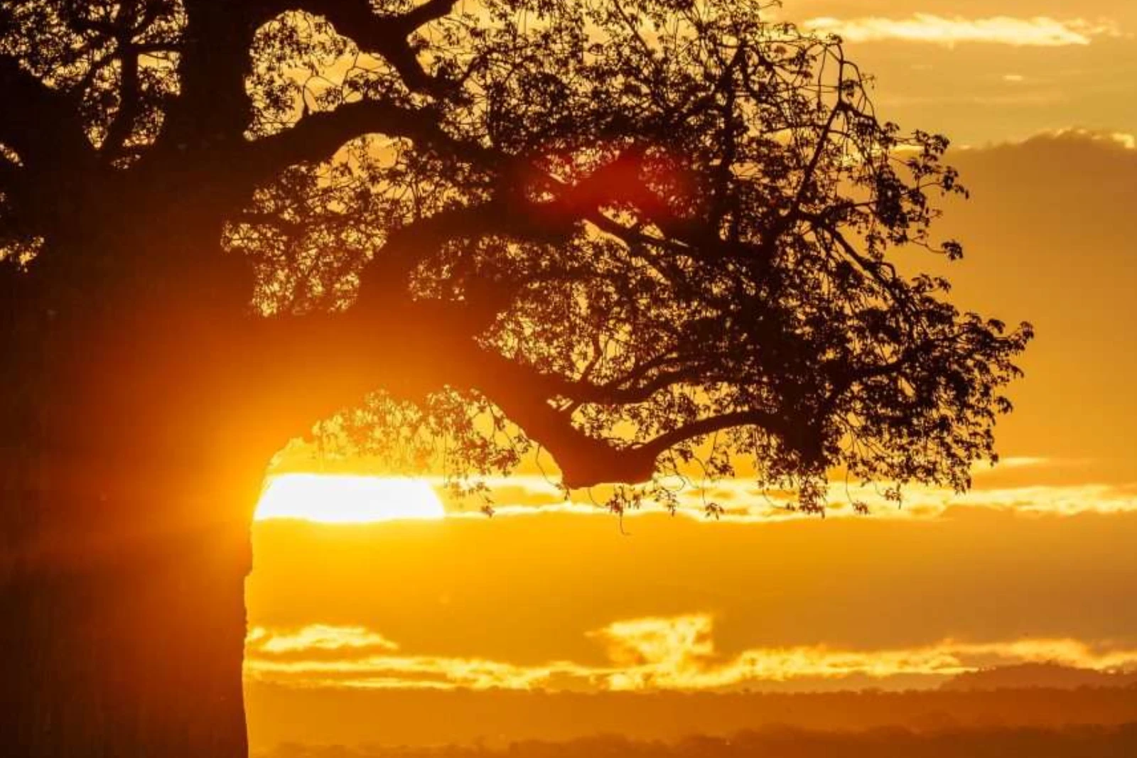 Sunset Sundowner Stop