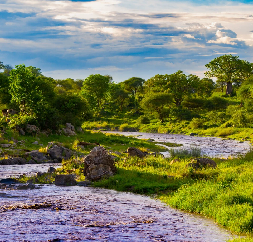 River Focused Viewing