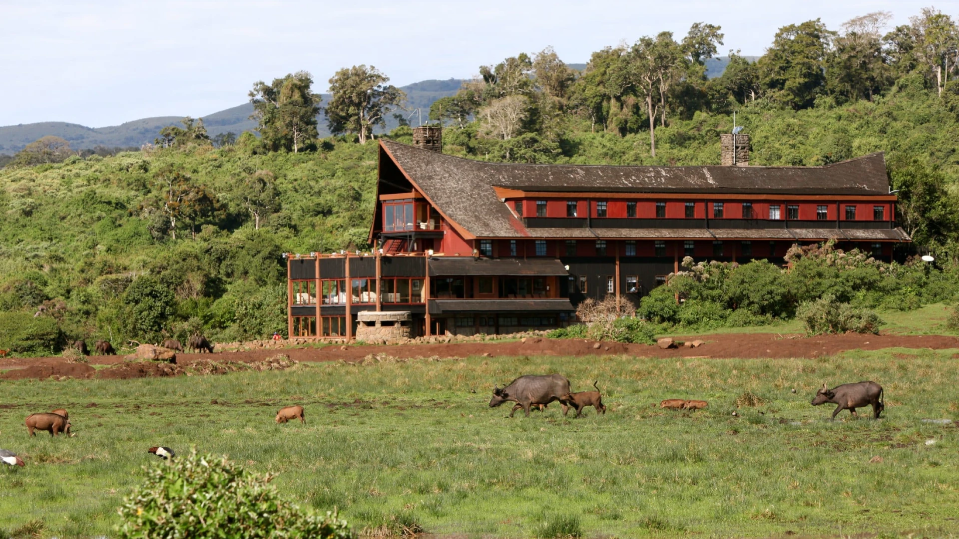 The Ark Lodge