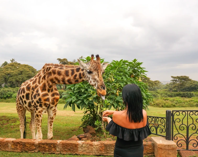 The Retreat at Giraffe Manor