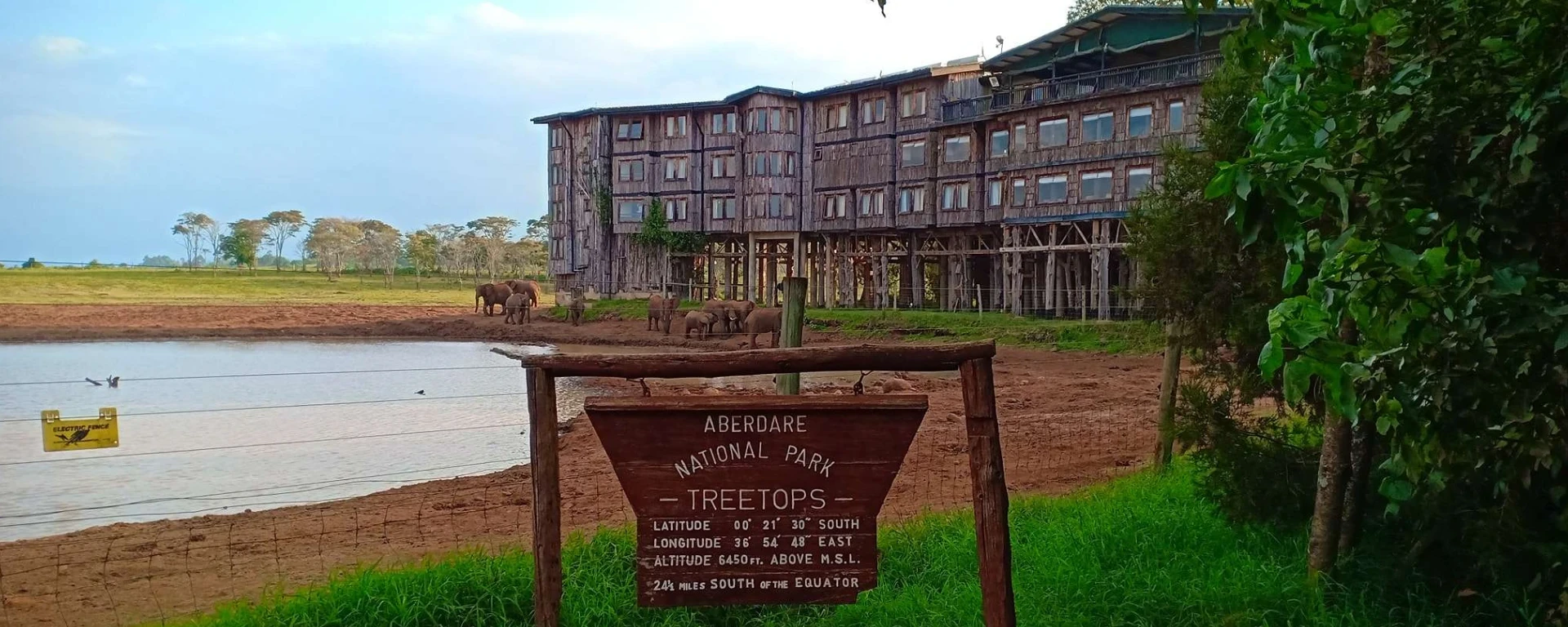 The Treetops Lodge