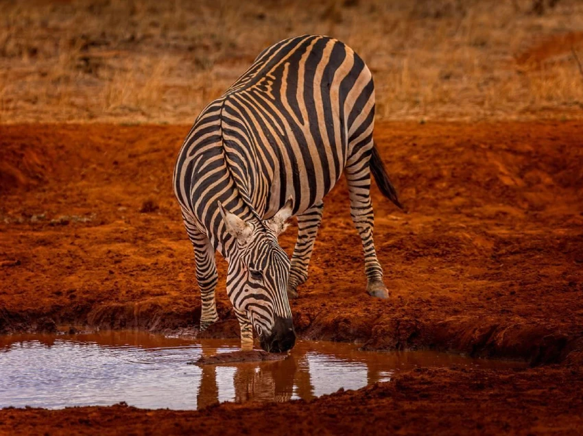 Tsavo East National Park Attractions