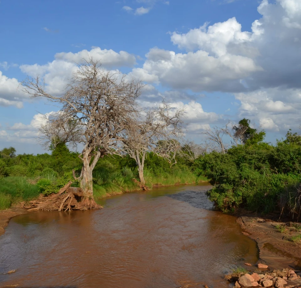 Water Viewpoints Rivers