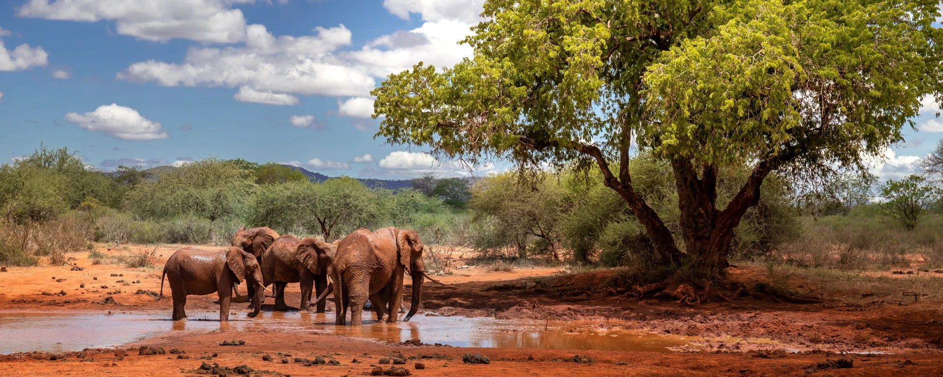 Tsavo East National Park